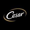 Cesar.com logo
