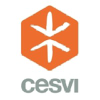 Cesvi.org logo