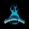 Chameleonglass.com logo