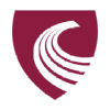 Charteredaccountants.ie logo