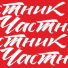 Chastnik.ru logo