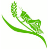 Chelseagreen.com logo