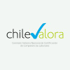 Chilevalora.cl logo
