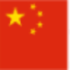 Chinesewebshop.net logo