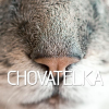 Chovatelka.cz logo