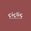 Ciclic.fr logo