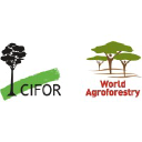 Cifor.org logo
