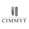 Cimmyt.org logo