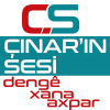 Cinarinsesi.com logo