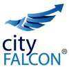 Cityfalcon.com logo