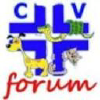 Clinicaveterinaria.org logo