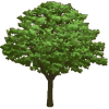 Clothnappytree.com logo
