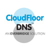 Cloudfloordns.com logo