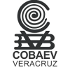 Cobaev.edu.mx logo