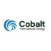 Cobaltintl.com logo