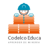 Codelcoeduca.cl logo