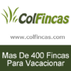 Colfincas.com logo