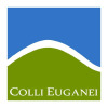 Collieuganei.it logo