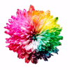 Colourlovers.com logo