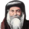 Coptictamgeed.com logo