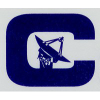 Cotronic.es logo