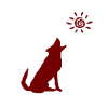 Coyotecommunications.com logo