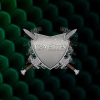 Cpaelites.com logo