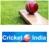 Cricketforindia.com logo