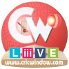 Cricwindow.com logo