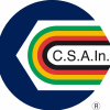 Csain.it logo