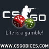 Csgodices.com logo