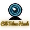 Ctbtokenhack.com logo