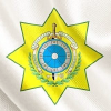Customs.gov.az logo