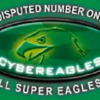 Cybereagles.com logo
