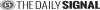 Dailysignal.com logo
