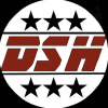 Dailysuperhero.com logo