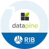 Datapine logo
