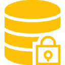 Precision Varionic International