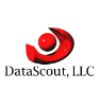 Datascoutpro.com logo