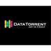 Datatorrent.com logo