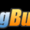Datingbusters.com logo