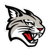 Davidsonwildcats.com logo