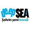 Deepsea.com.tr logo