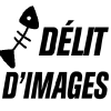 Delitdimages.org logo
