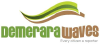 Demerarawaves.com logo