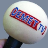 Demet.nl logo