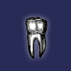 Dentistshateme.com logo
