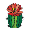 Desertchica.com logo