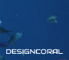 Designcoral.com logo