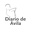 Diariodeavila.es logo